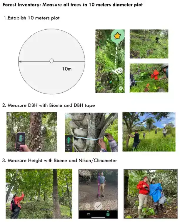 How Earthshot Labs conducts forest inventory projects in the field