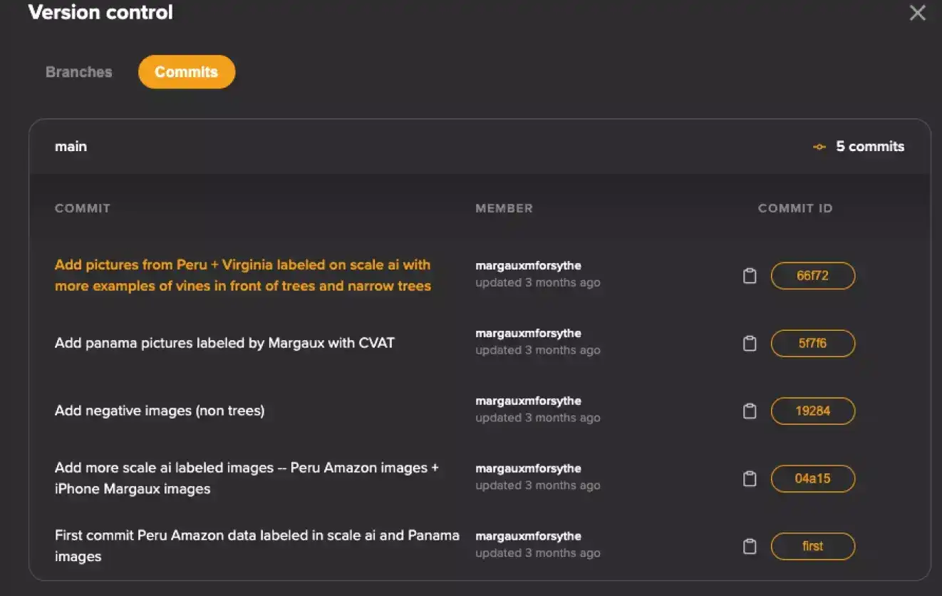 Activeloop Deep Lake dataset version control UI