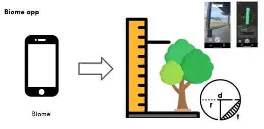 How Biome app works for tree segmentation and measurement