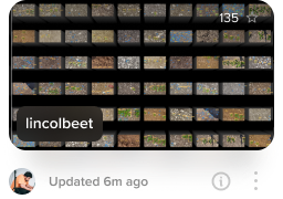 lincolnbeet dataset visualization on Activeloop Platform